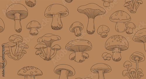 Seamless hand-drawn pattern featuring various types of wild and edible mushrooms, rendered in a sketch style on an earthy brown background.