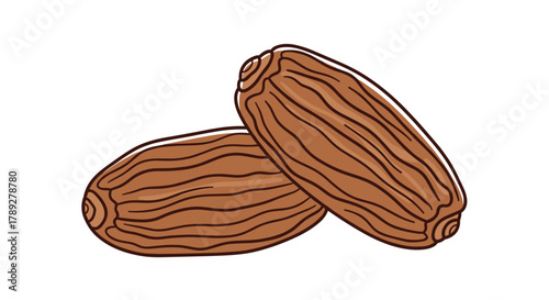 A delightful cartoon illustration of two brown dates, perfect for concepts related to healthy eating, natural sweetness, or traditional Middle Eastern snacks.