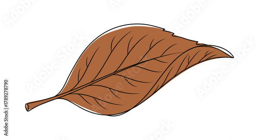 A detailed illustration of a single dry brown leaf, captured with intricate vein patterns and a subtle curl, depicting the essence of fall.