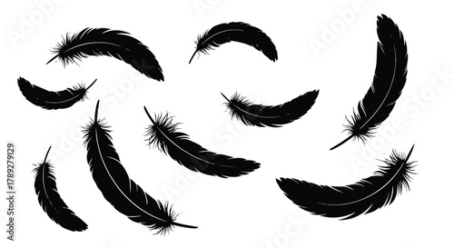 Elegant Floating Feathers in Black and White Illustration