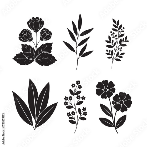  A vector silhouette illustration, white background.