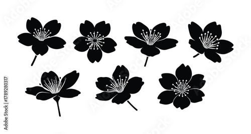 Cherry blossom spring flowers silhouette set. Sakura tree floral botanical collection vector.