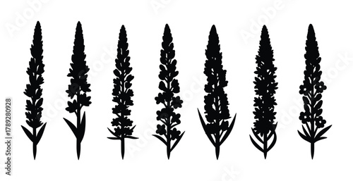 Collection of black plant flower silhouettes in a vertical arrangement for design