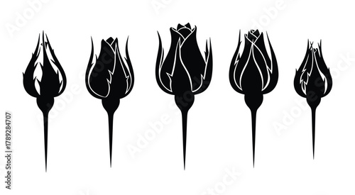 Five elegant black silhouette rose flower buds isolated on white background illustration