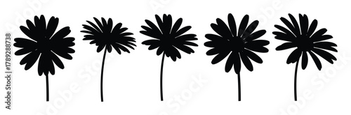 Set of black daisy flower silhouettes vector