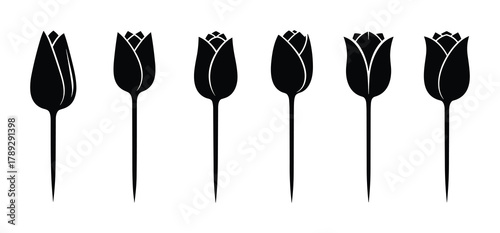 Tulip flower silhouettes in various stages of bloom