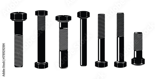 Set of various bolt types vector illustration