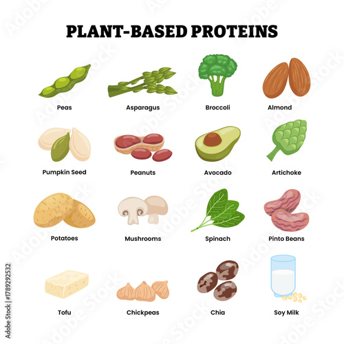 Different types of plant based high protein food set collection. Peas,asparagus,broccoli,almond,pumpkin,seed,peanuts,avocado,artichoke, potatoes, mushroom, spinach,pinto, tofu, chickpeas,chia,soy milk