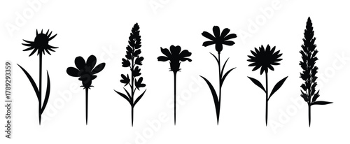 Wild flowers plant silhouettes vector illustration