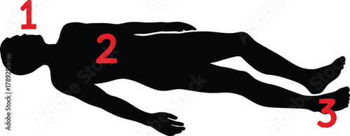 Numbered human silhouette diagram showing head chest feet regions for medical education, emergency triage, anatomy CAD drawing flat vector illustration