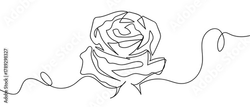 One continuous line of dried roses one line illustration. Vector linear illustration. Editable stroke.