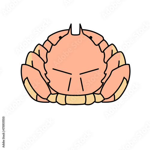 毛ガニを正面から描いたかわいらしいベクターイラスト｜北海道の名産や海産物を表現したデザイン素材として使いやすい食材イラスト