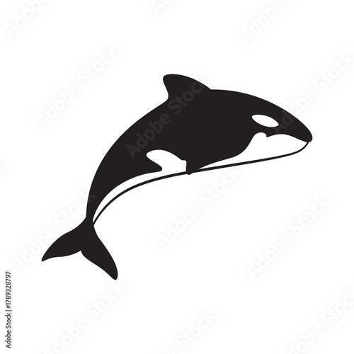 Simple black and white orca killer whale silhouette vector.