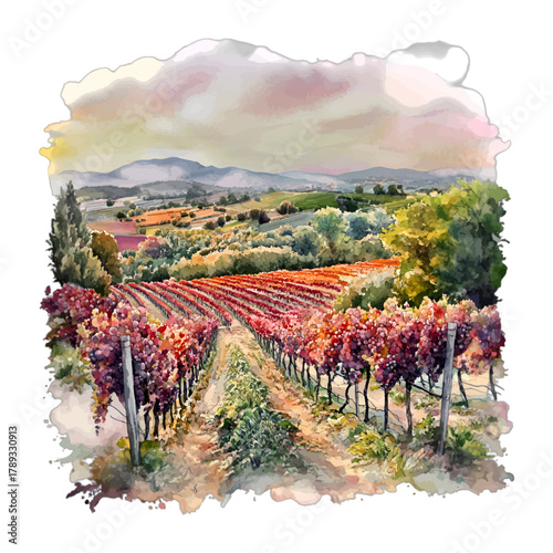 Watercolor Autumn Vineyard Landscape Illustration
