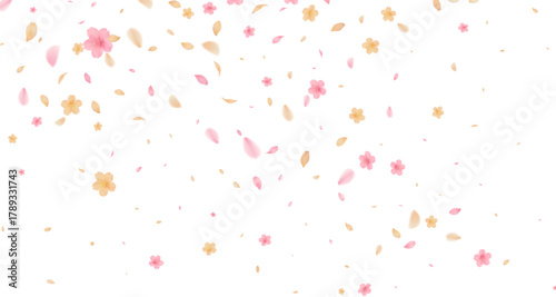 spring  with pink and soft orange cherry blossoms and scattering petals Transparent effect on a white background Ideal for romantic invitations wedding announcements 