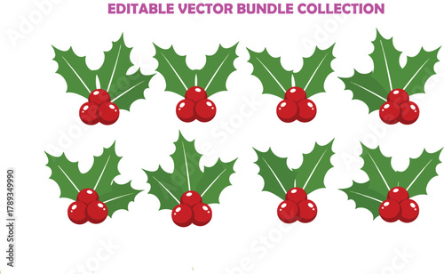 Holly berry icons set, Chritmas logo wirh holly berries 