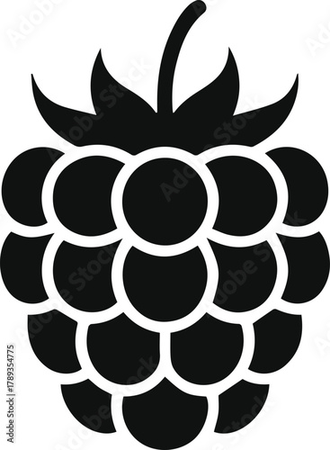 Minimalist black raspberry fruit silhouette icon