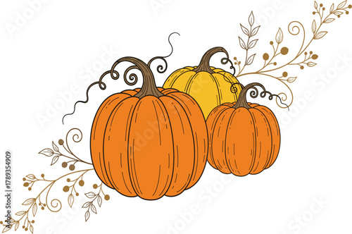 Autumn Pumpkin and Scroll Vine Vector: Hand-Drawn Orange Gourds, Leaves, and Swirls for Fall Harvest, Thanksgiving, Halloween, and Seasonal Decorative Graphics