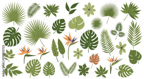 A vibrant collection of green tropical palm leaves and exotic flowers, perfect for summer backgrounds and jungle-themed decorations.