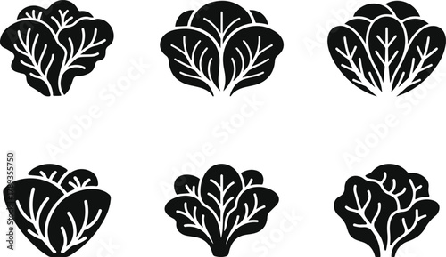 Set of six black lettuce head silhouette vector icons and variations