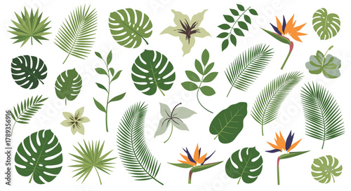A vibrant collection of tropical leaves, exotic palm fronds, and colorful Bird of Paradise flowers on a white background, perfect for summer designs.