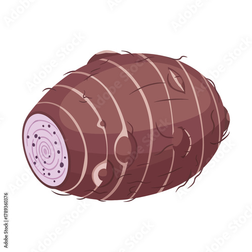 Fresh Taro Root Vegetable with Brown Skin and Exposed White Flesh.