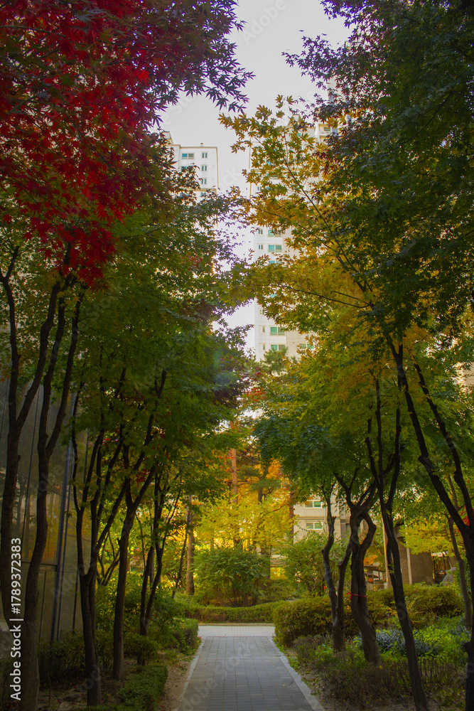 Fototapeta premium It's an autumn park with a walking path.