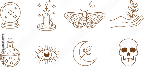 Mystical occult line art collection featuring crystal ball candle moth moon skull potion and all seeing eye design