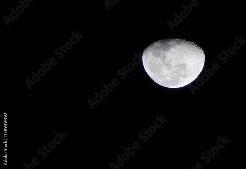 Moon Nov 2025