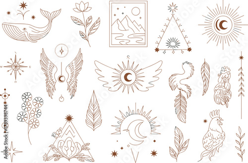 Mystical boho line art collection featuring celestial moon sun stars nature symbols wings plants and sacred geometric spiritual elements