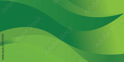 Abstract green curve background. Can be used covers, banners, wallpapers, flyers, brochures, books, print media, cards, web backgrounds. vector
