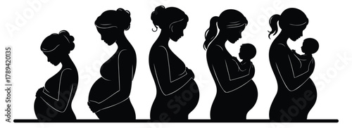 Pregnancy Woman Silhouette – Maternity, Mother, Baby, Expecting Pose Vector Illustration
