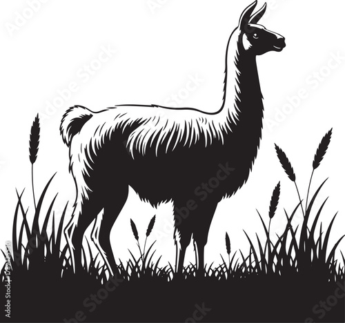Standing Llama in Grass Field Silhouette Vector Illustration