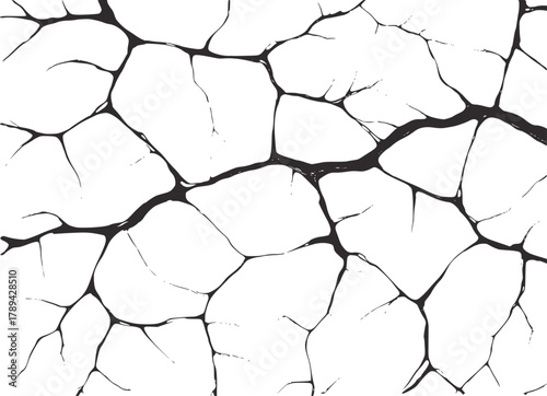 Dark branching veins abstract pattern black white