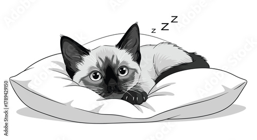 A cute Siamese kitten is sleeping on a white pillow with z's in the air.