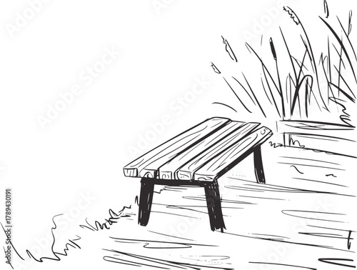 Wooden bench near tall grass reeds outdoor