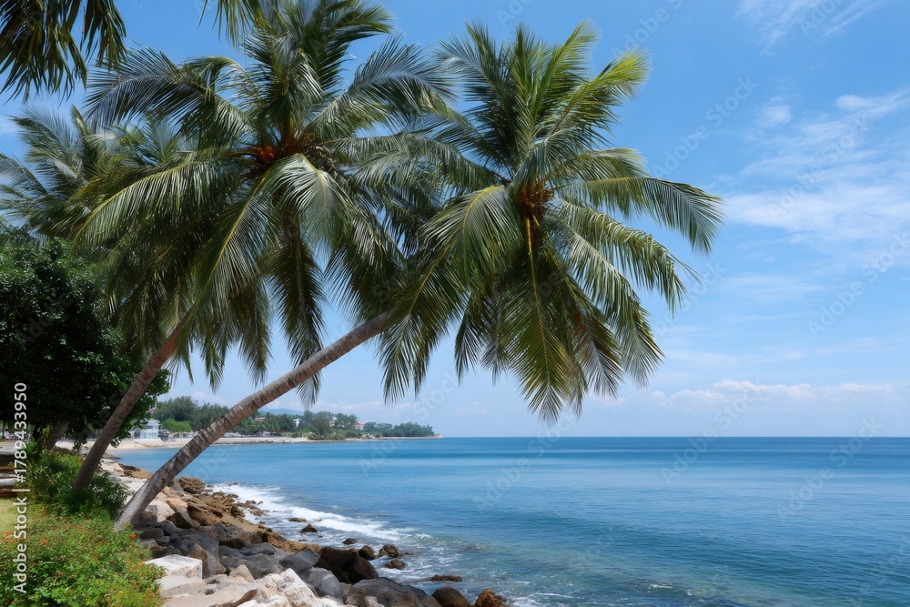 Obraz premium Palm trees leaning over tropical ocean beach