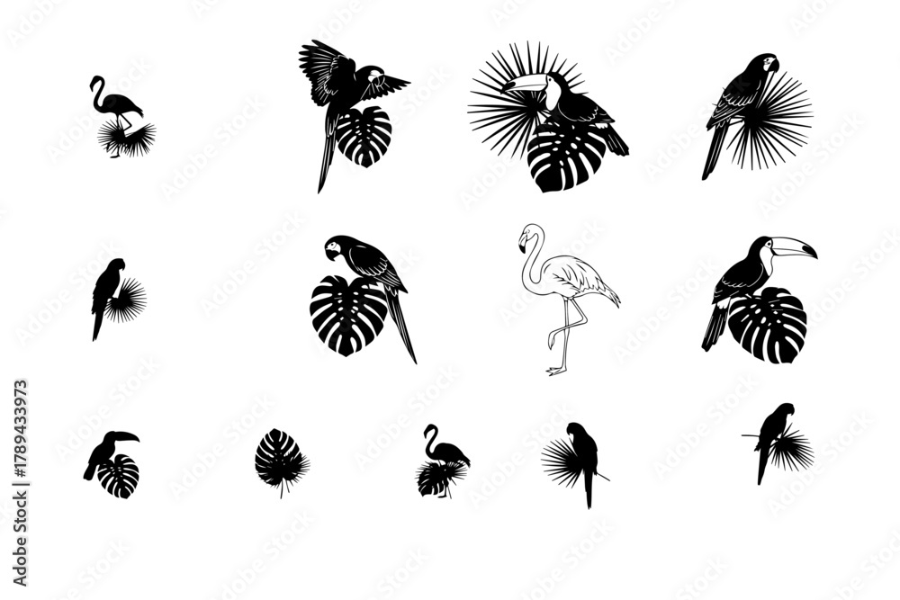 Obraz premium Collection of elegant tropical bird silhouettes — parrots, toucans, flamingos