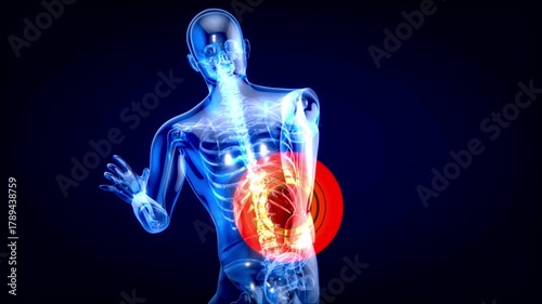 Man suffering from back pain Human body spinal spine VERTEBRA motion animation 3d rendered
