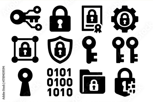 Cryptographic Icons Set. Cryptographic Keys silhouette icon set: digital key, lock icon, encryption certificate, algorithm gear, secure network, shield emblem, private key icon,