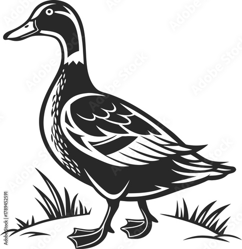 duck vector icon logo rubber duck sunglasses cartoon character illustration bird farm animal doodle symbol design