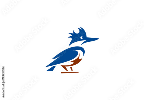 Exotic Kingfisher Bird Logo Template Vector Illustration