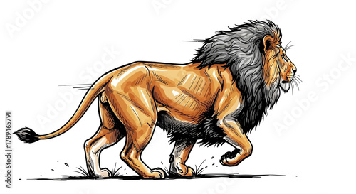A majestic lion, depicted in a dynamic pose, walking gracefully with detail.