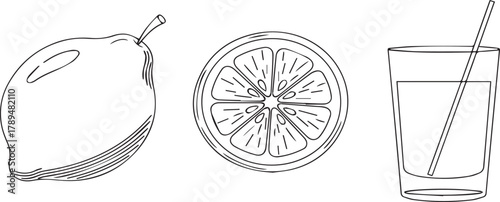 Lemon whole fruit, sliced citrus, and juice glass sketch line art vector isolated