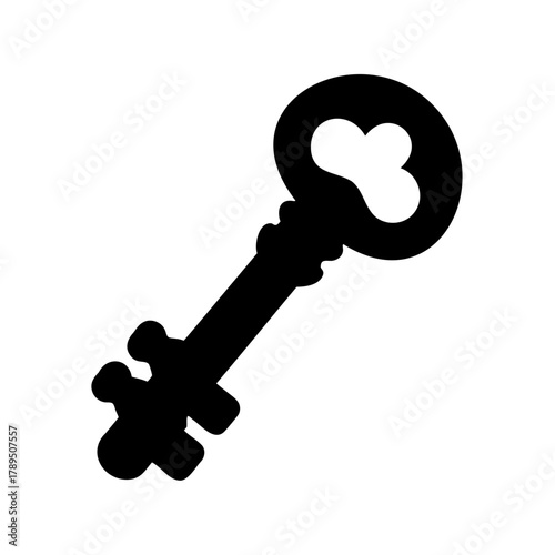 Black key silhouette on white background, mysterious and intriguing design element