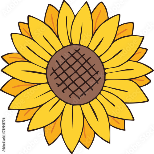 Hand Drawn Beautiful Sunflower Vector Illustration Floral Design