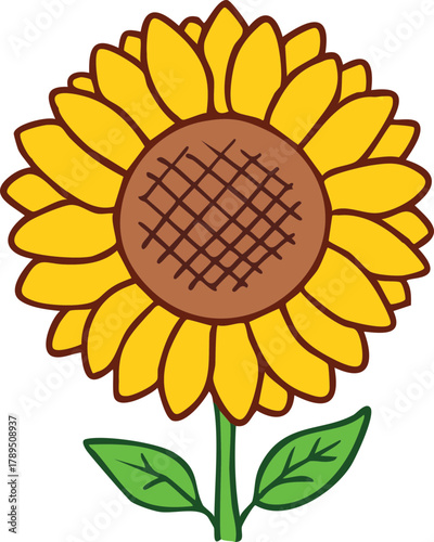 Hand Drawn Beautiful Sunflower Vector Illustration Floral Design
