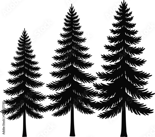 Pine tree silhouette trio, black evergreen trees, forest illustration, nature graphic, conifer shapes, botanical vector art, seasonal tree design