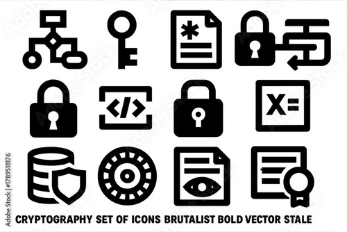 Cryptography Icon Set. Cryptography silhouette icon set: algorithm symbol, secret key, ciphertext document, decryption tool, digital padlock, code layers, data lock, mathematical