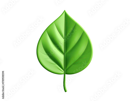 Lush green leaf with prominent veins, isolated against black